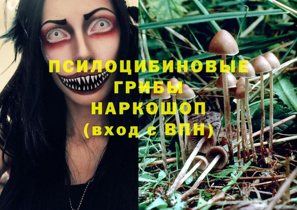 молекула духа Наволоки